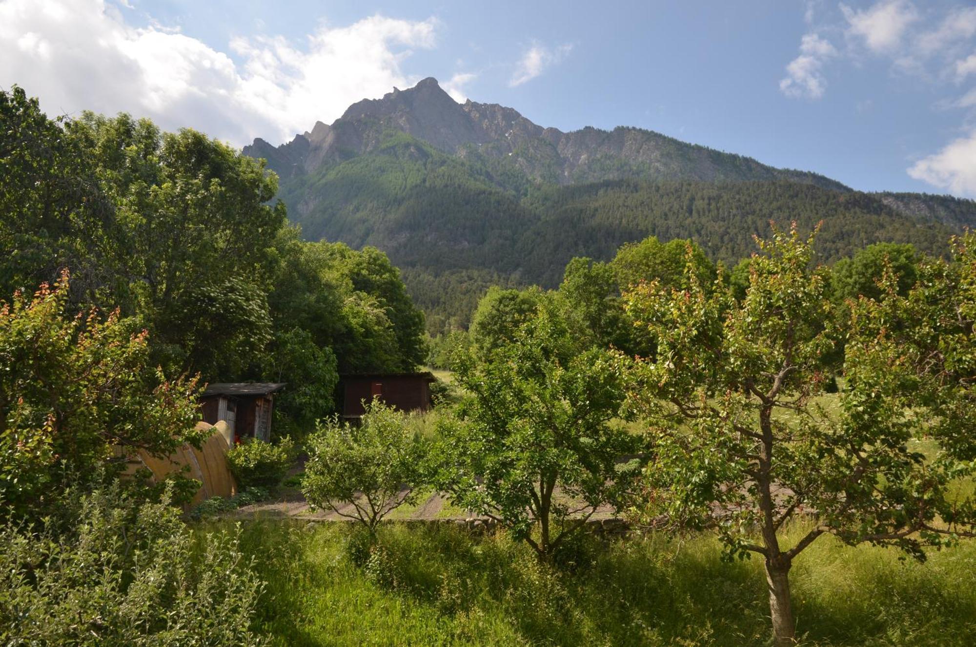 Grosse, Schoene Wohnung Im Gruenen Бриг Экстерьер фото